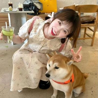 失散两生花